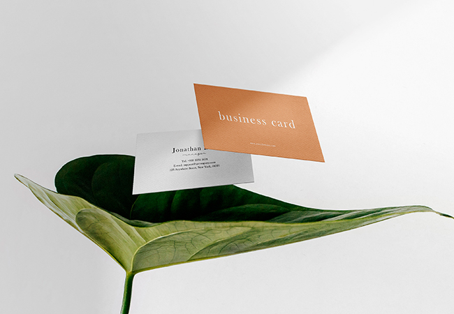 Clean minimal business card mockup floating on leaf Free Psd